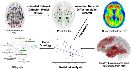 Why Do Some Brain Regions Resist Alzheimer’s? | UCSF Bakar