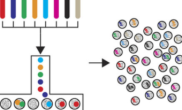 Improved method for population-scale single cell sequencing