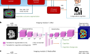 mri and ai prediction